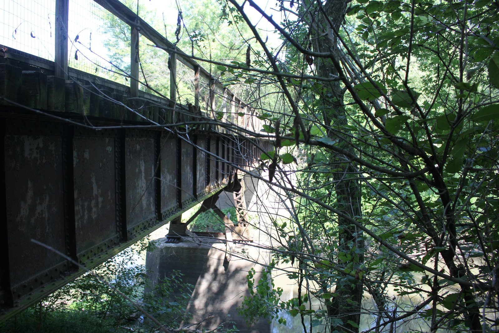 Looking north
